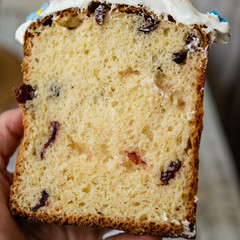 Half-cut homemade sweet easter bread in the hands of a baker's woman. Slice of easter orthodox sweet bread, kulich. Beautiful lace crumbs rolls. Close up, selective focus, copy space.