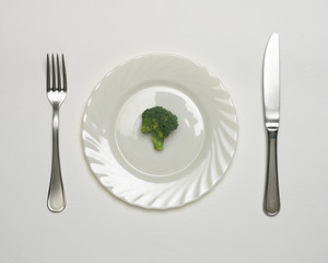 BROCCOLI FLORET ON WHITE PLATE WITH KNIFE AND FORK