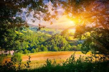 Beautiful countryside landscape with forested hills and haystacks on a grassy rural field in mountains © pilat666