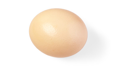 Egg. Isolated on white