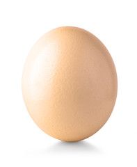 Egg isolated on the white