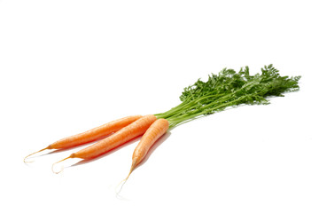 Marchew na białym tle