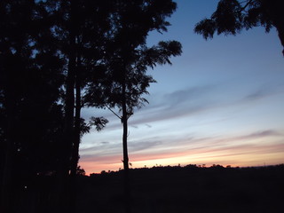 Sunset Evening