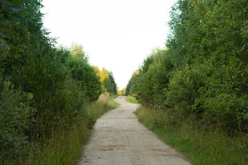 Country road leaving vdpl. The usual road outside the city in Russia