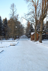 Park winter snowy sunny day