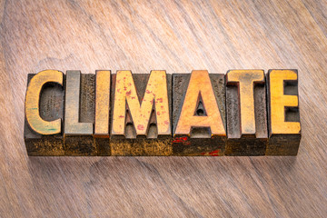 climate word in wood type