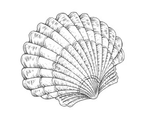shell-4