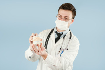 male dentist holding a dental jaw model isolated on blue background. Health and medicine concept