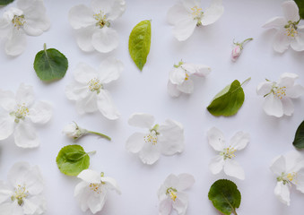 Fototapeta premium Gentle romantic floral pattern of white flowers, buds and green leaves of an apple tree. Spring freshness