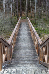 A solid wooden bridge over the forested wetlands. Forest reserve of forest bogs.