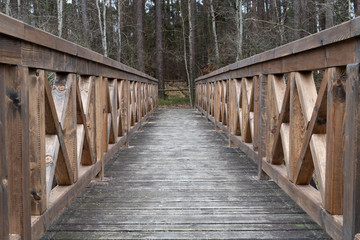 Fototapeta na wymiar A solid wooden bridge over the forested wetlands. Forest reserve of forest bogs.