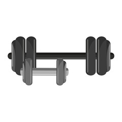 gym barbell and dumbbells