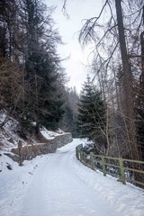 Mountain snowy road in the winter forest.