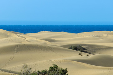 Dunas