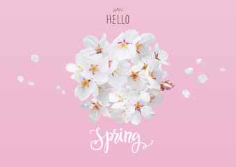 Cherry blossom petal background. © 지은 이