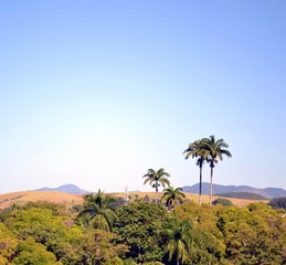 Fototapeta na wymiar Palmeiras e montanhas