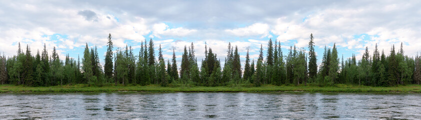 Panorama of the coastline, overgrown with wild forest. The view from the river. Travel to the Polar Urals in Russia.
