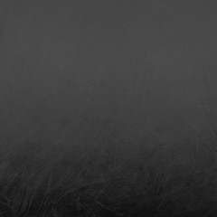 Black ink and watercolor textures on white paper background. Paint leaks and ombre effects. Hand painted abstract image. School blackboard. © artistmef