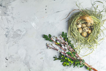 Easter decoration with willow branches and quail eggs in nest © Victoria Kondysenko