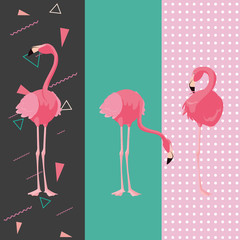 tropical flamingo design