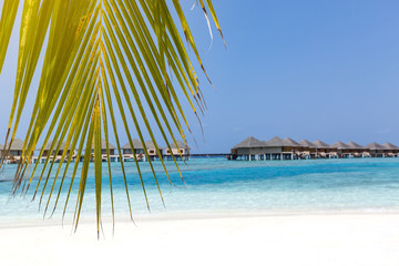Fototapeta na wymiar beach with water bungalows at maldivian island