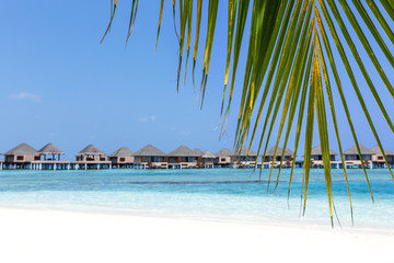beach with water bungalows at maldivian island