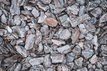 Wood chips for grunge background