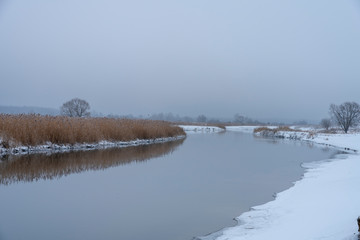 winter river not covered with ice, reeds, water, wintering ducks