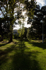Fototapeta premium Park