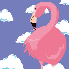 cute flamingo sky