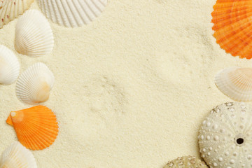 Seashells on the white beach sand with copy space