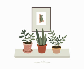 Home green potted plants on the shelf. Indoor plants and a picture to decorate the interior of the house. Scandinavian style illustration, home decor. Vector illustration on white isolated background.