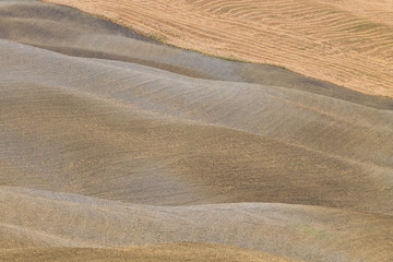 Curves background. Tuscany hills summer landscape