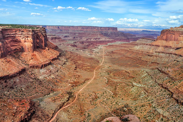 Trail Through the Deep Desert Gorge of Canyonlands National Park in Utah