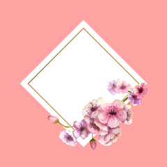 Cherry blossom, Sakura Branch with pink flowers in gold frame with beautiful pink background. Image of spring. Frame. Watercolor illustration. Design element. Diamond-shaped frame