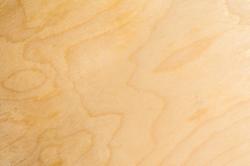 Real natural birch plywood. High-detailed wood texture.