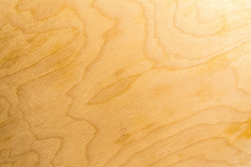 Real natural birch plywood. High-detailed wood texture.