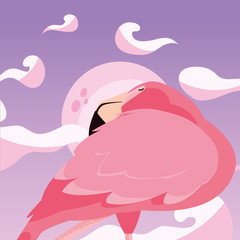 flamingo bird moon background