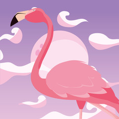flamingo bird moon background