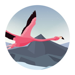 flamingo bird flying in the landscape