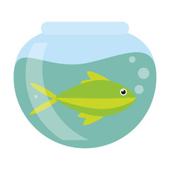 Fish in crystal bowl