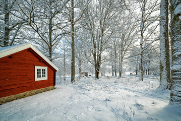 Swedish outdoor scenery in winter time