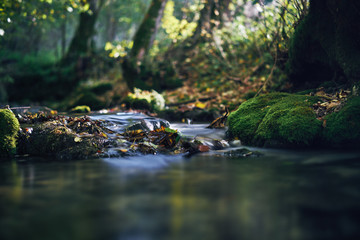 Fototapeta na wymiar Long exposure of a river creek with a small waterfall. Sunset and strong detail bokeh view. blue calm warm water