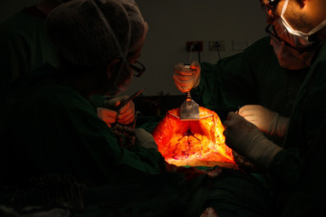  operation of an ear and abdomen in a surgery room of the university hospital, performing reconstruction in plastic surgery with the appropriate instruments and under general anesthesia.