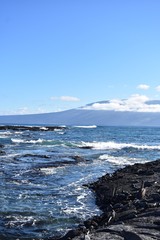 Ocean waves on the rocks