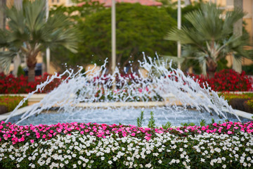 Flower garden with fountains