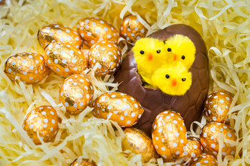 Easter Chicks in Nest of Easter Eggs
