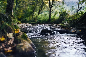 Fotobehang Bos rivier A river creek with a small waterfall. Sunset and strong detail bokeh view. blue calm warm water  © undWITTE