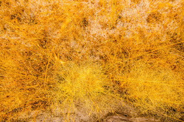 Natural attractions4