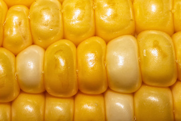Corn Kernels